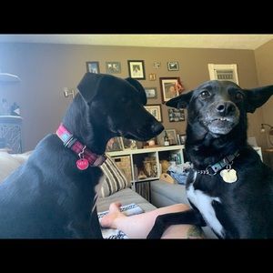 Meet your Posher, Rona